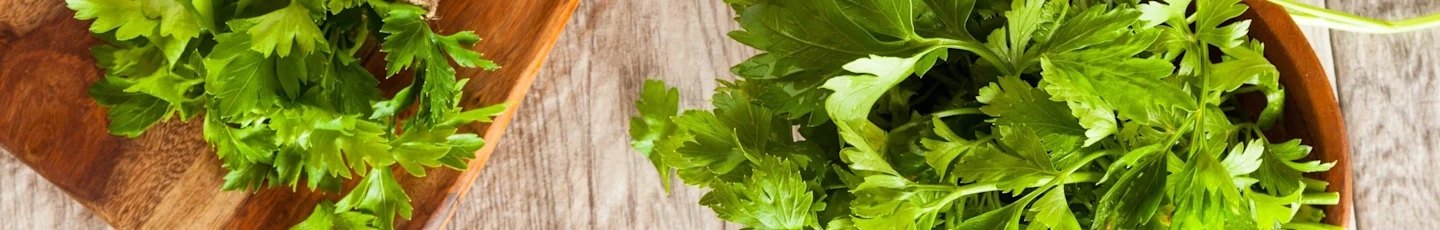 Peterselie recepten topbanner