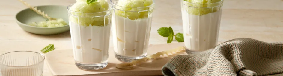 Meloen granita met yoghurt