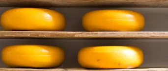 Vier ronde graskazen op een houten plank.