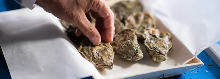Openmaken van oesters.