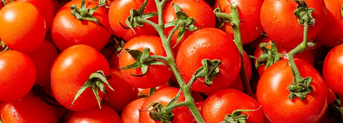 Tomaten