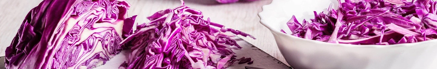 Rode kool recepten topbanner