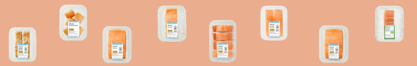 zalm