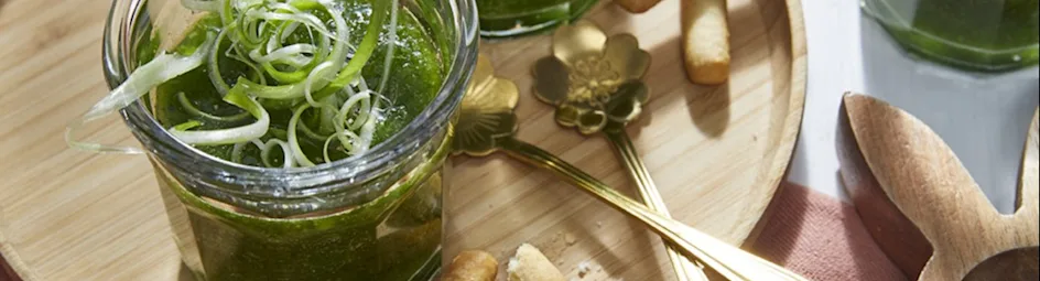 Gazpacho van kropsla