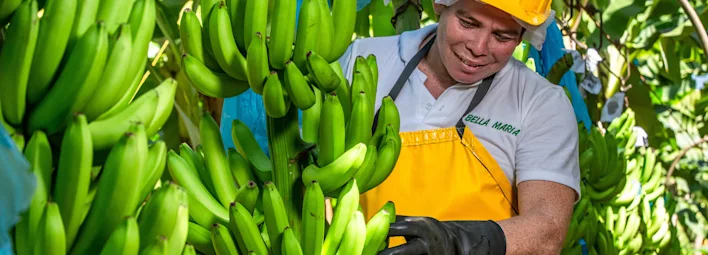 Fairtrade bananen arbeider