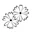Verse bloemen