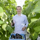 Nederlandse aubergines bij PLUS klimaatneutraal
