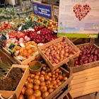 uien-van-plus-standaard-biologisch