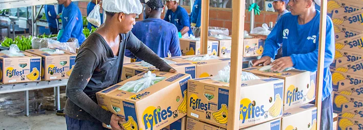 Volg de reis van de banaan