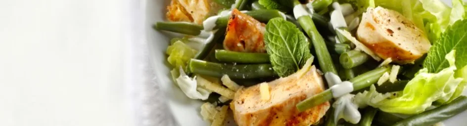 Kropsla met gegrilde kip en munt