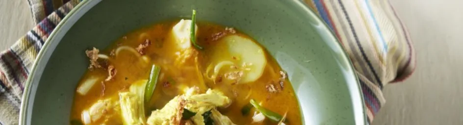 Soto ajam