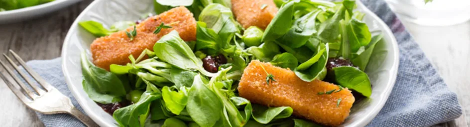 Salade met gebakken kaasstukjes, tuinbonen en cranberry