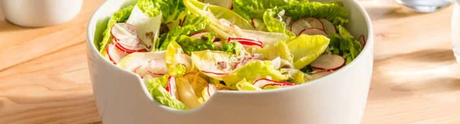 Witlofsalade 2.0: met radijs, little gem en ansjovis