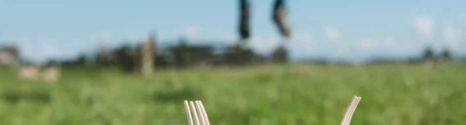 Frisse aardappelsalade met yoghurt en spekjes