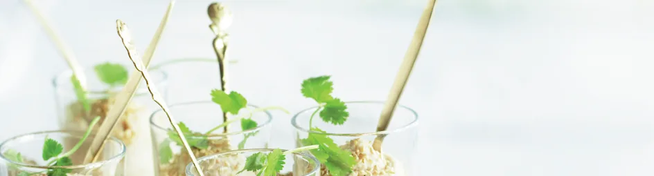 Bloemkoolmousse met geroosterde sesam