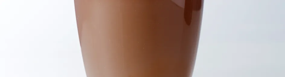 Chocolademelk met kaneel