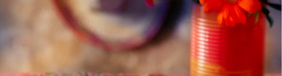 Wrap met kip en korianderroom