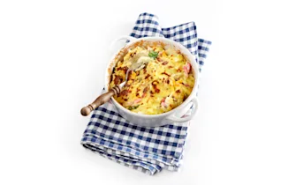 Witlofschotel met ham en ei