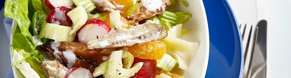 Makreelsalade met appel en radijs