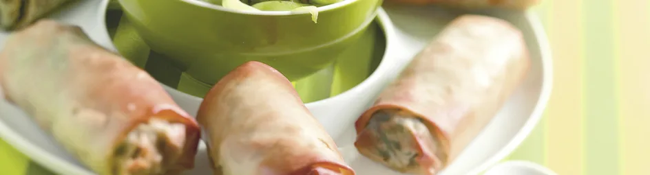 Griekse spinazierolletjes