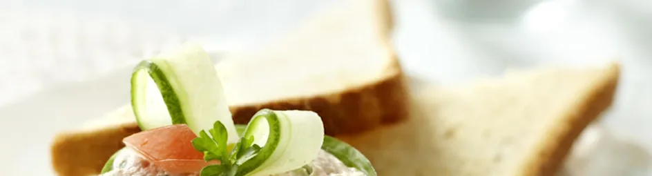 Timbaaltjes van tonijn en komkommer