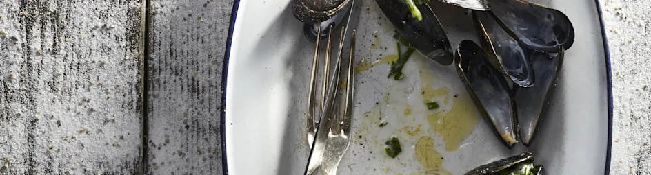 Moules au crème et cidre