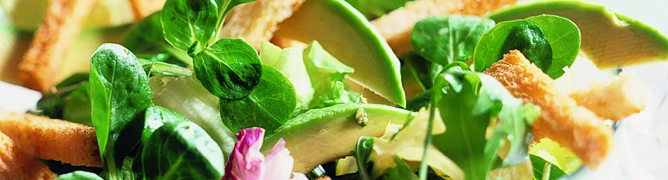 Groene kruidensalade met avocado