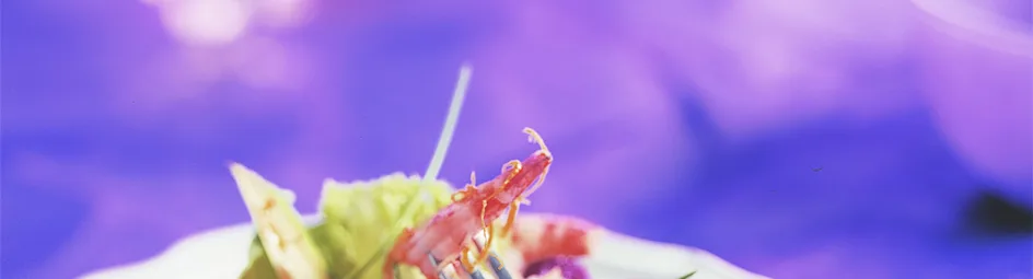 Gebakken garnalen met avocadosalade