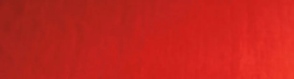 Chocoladetaart met cranberry's