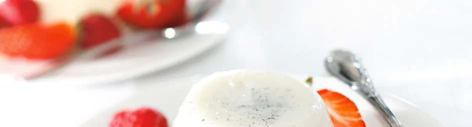 Vanille panna cotta met rood fruit