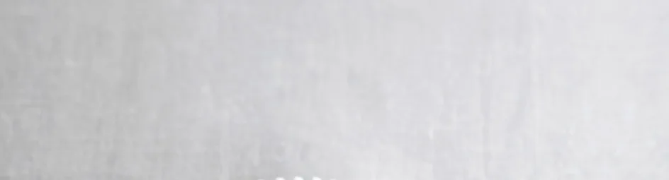 Pitapuntjes met kip en hummus