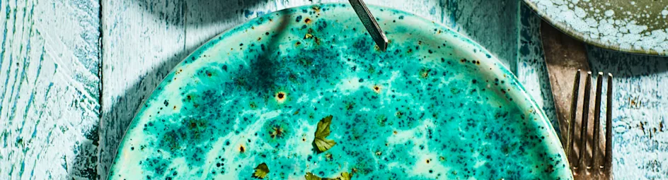 Gegrilde kabeljauw met rabarbersalsa