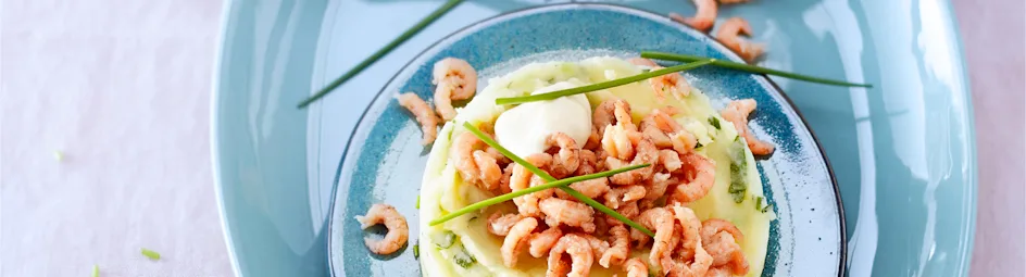 Kruidentaartje met Hollandse garnalen