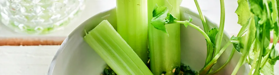 Bleekselderijstengels met kruidenzout