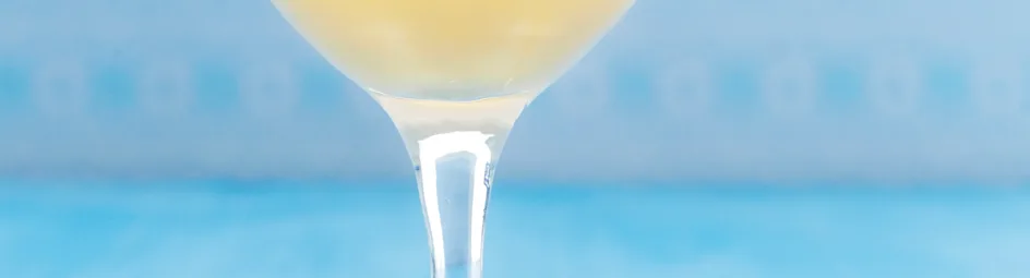 Zelfgemaakte advocaat