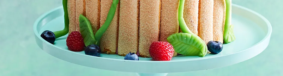 Charlotte met bosvruchten