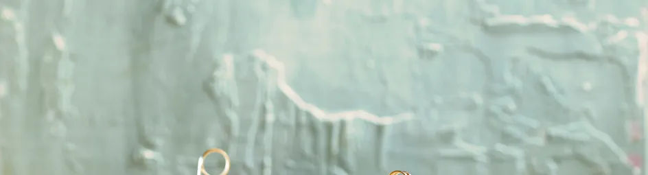 Sandwich makreelsalade met appel