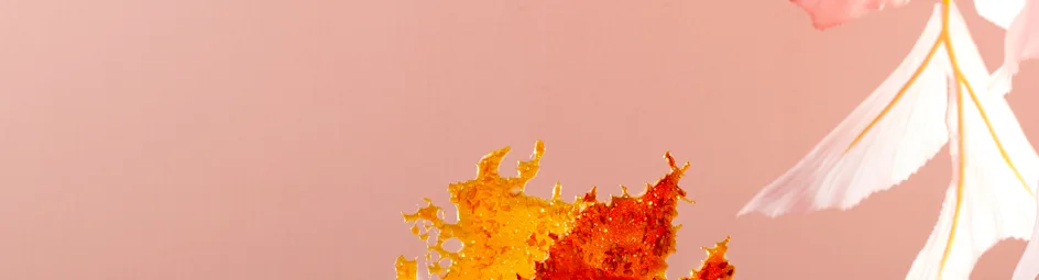 Mango-citroengrassorbet met sesamkaramel