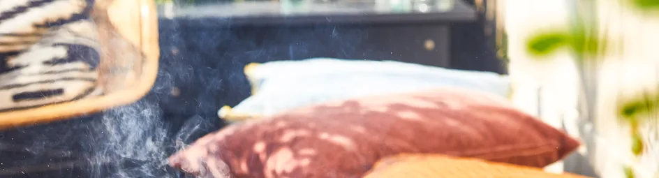 Gestrekte gelakte kip