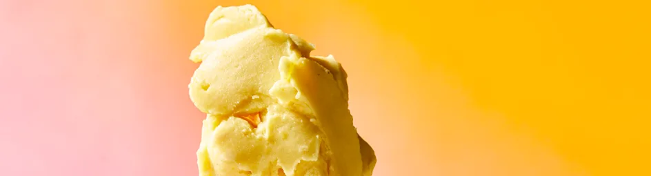 Vegan ice cream