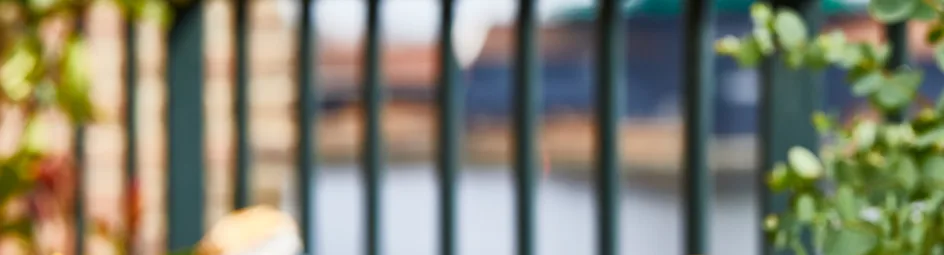 Geroosterde meloen met mango-koriandersaus