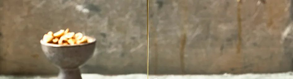 Gegrilde courgette met citroenricotta