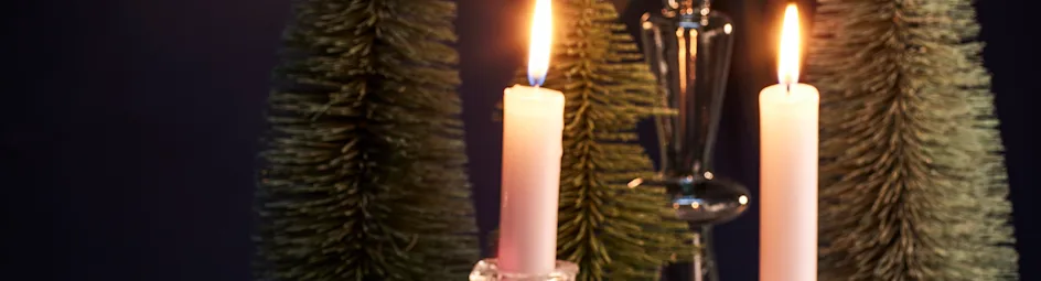 Kiprollade in dragon-mosterdroomsaus