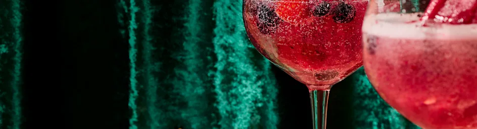 Bosvruchten gin-tonic met cranberry popsicles