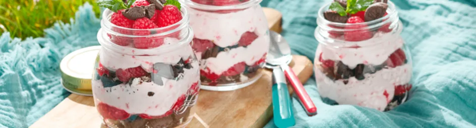 Frambozenbavarois met oreo en munt