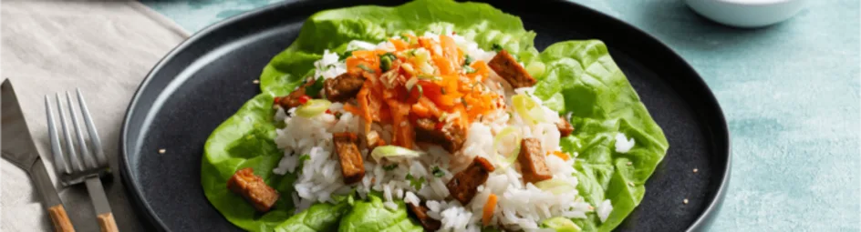 Tofu met salsa en rijst