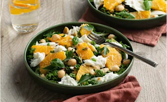 Salade van witlof, sinaasappel en mozzarella
