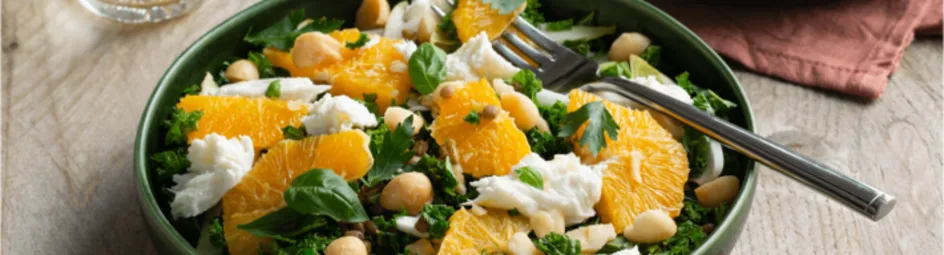 Salade van witlof, sinaasappel en mozzarella