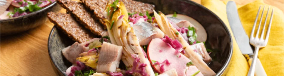Witlofsalade met haring en roggebrood