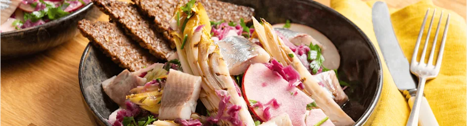 Witlofsalade met haring en roggebrood